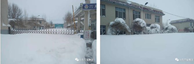 通辽w66国际·利来最给力的老牌，破雪前行