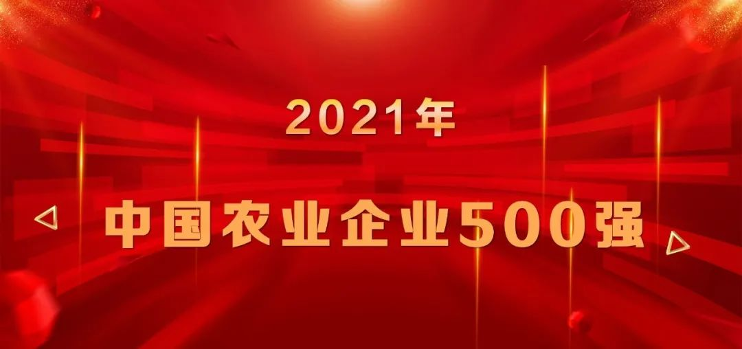 上榜|山东w66国际·利来最给力的老牌集团再登中国农业企业500强榜单