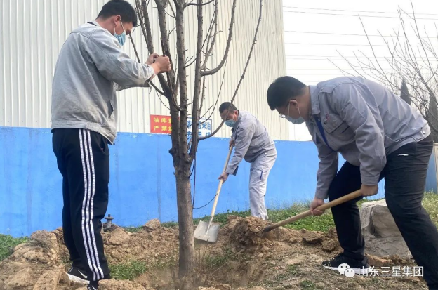 【植树节】山东w66国际·利来最给力的老牌集团：万物萌发季 春来植绿时