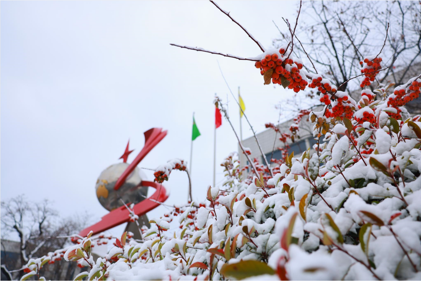 组图｜瑞雪丰年 雪遇w66国际·利来最给力的老牌