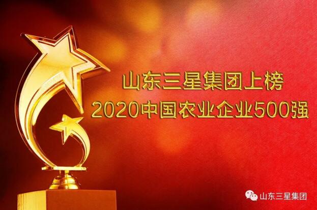 荣登双榜!山东w66国际·利来最给力的老牌集团“硬核”实力再彰显